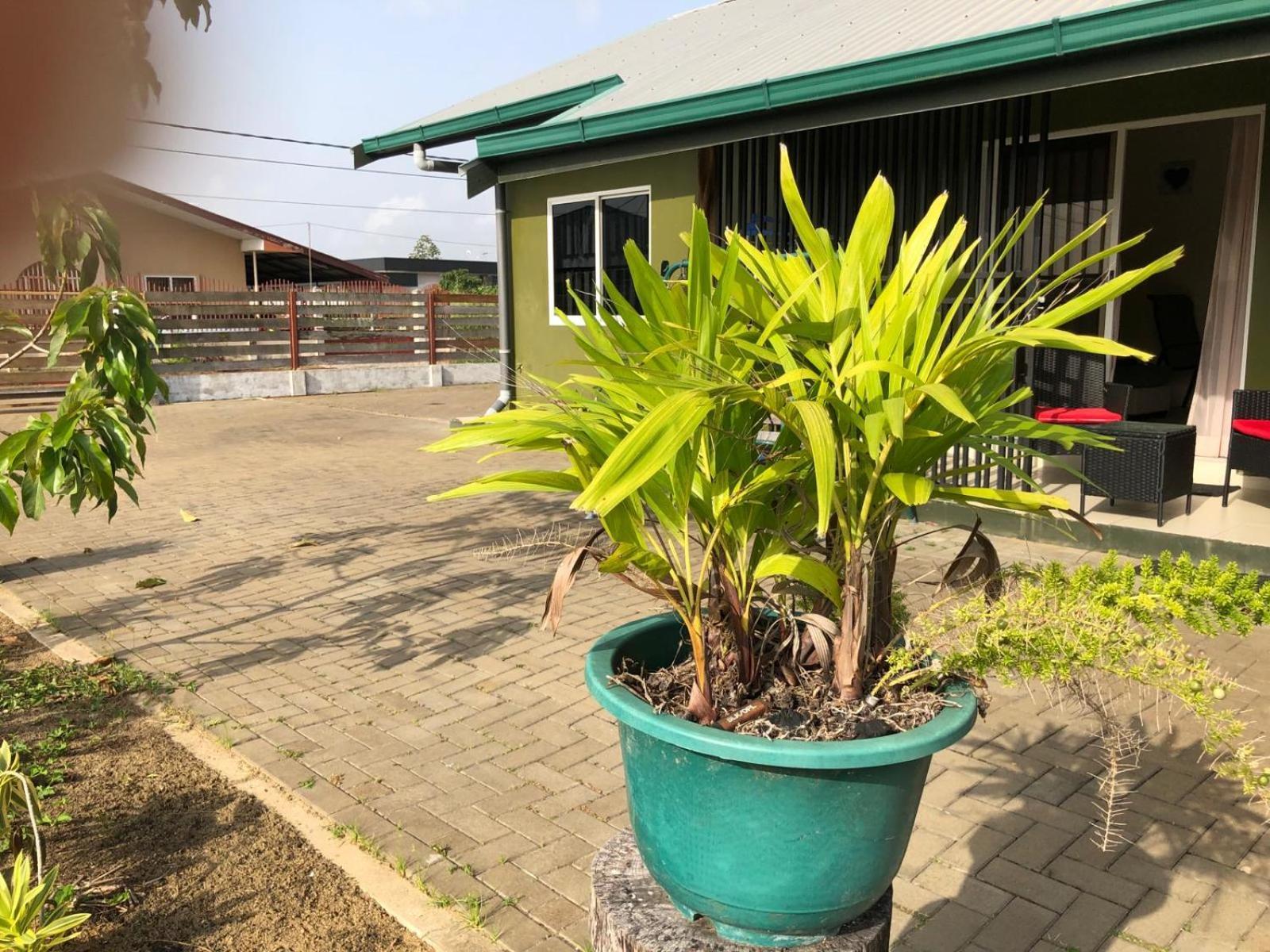 Grapefruitstraat Apartamento Paramaribo Exterior foto